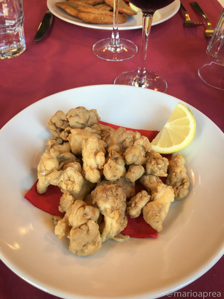 Cervello fritto